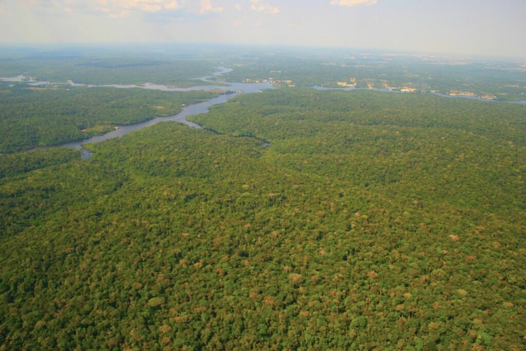 Amazon Gateway Guide: Manaus vs Iquitos vs Leticia
