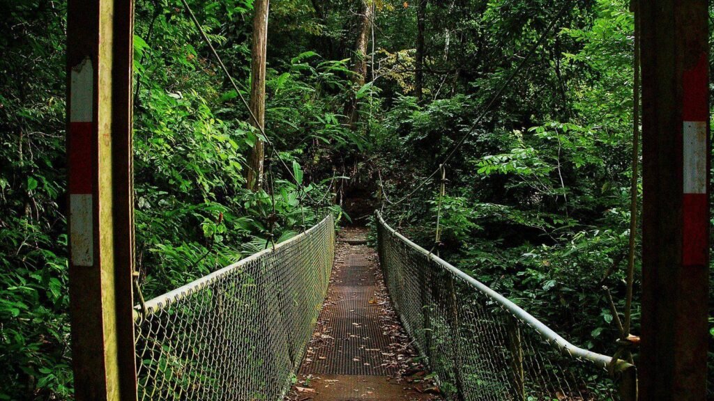 Costa Rica First Trip: Choose Two Regions, Not Six